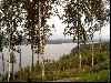 2003_0306_131617AA.jpg